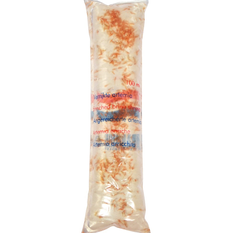 Live BrineShrimp 100ml
