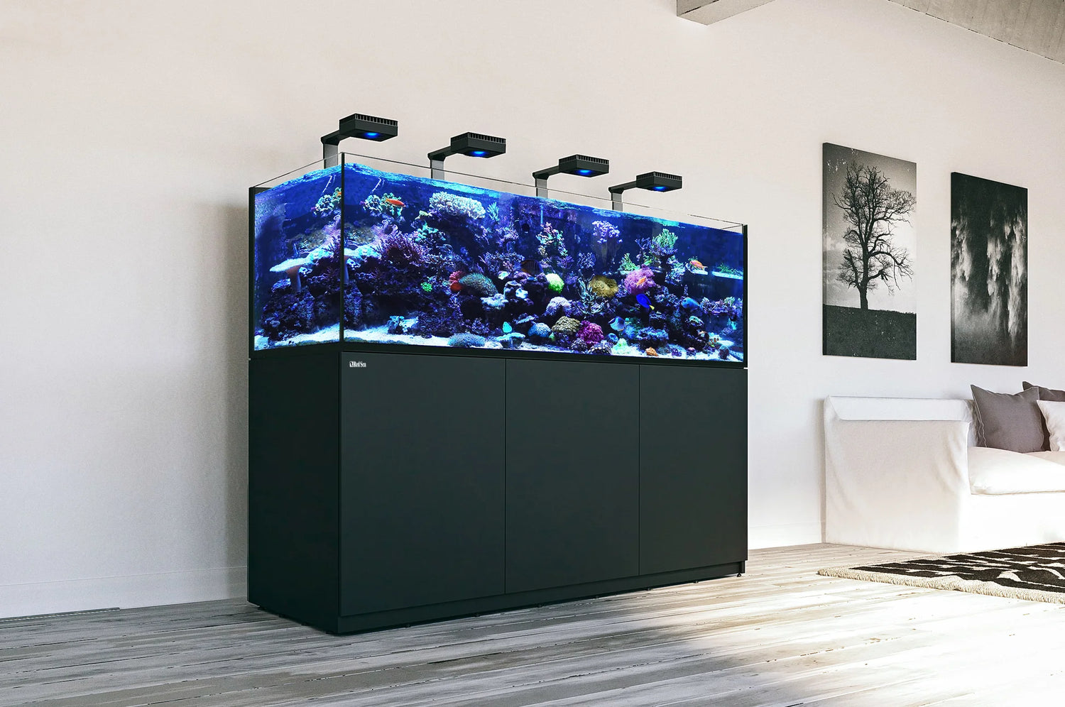 Reef Systems