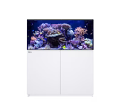Red Sea REEFER™ G3 425
